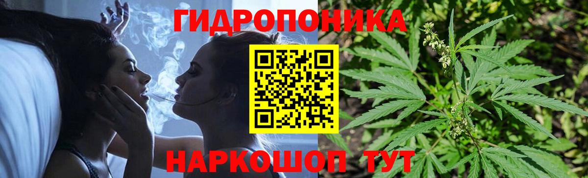 Канабис Bruce Banner Киров